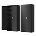 2 Door Fling Cabinet Manufacturer